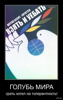 Прикрепленное изображение: 765734-2010.10.23-12.27.47-bomz.org-demotivator_golub_mira_srat_hotel_na_tolerantnost.jpg